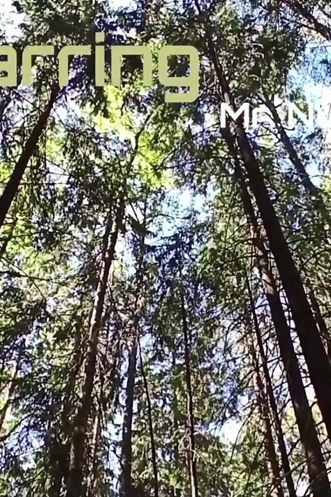 Mendaki telanjang dekat pusat kota Helsinki