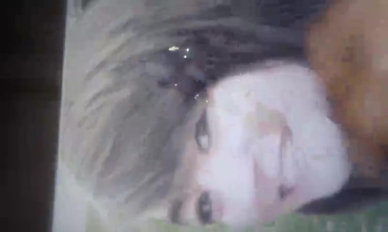 Facial cumshot tribute!