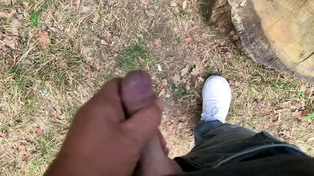 Im Wald gemeinsam  gewichst