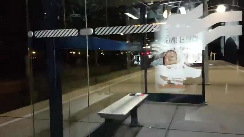Wank n Cum In Public