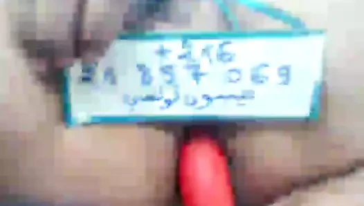 Sex Tunisia Adem Farhani Gsm 21621857069 Miboun Tounsi Xhamster