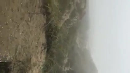 In de duinen