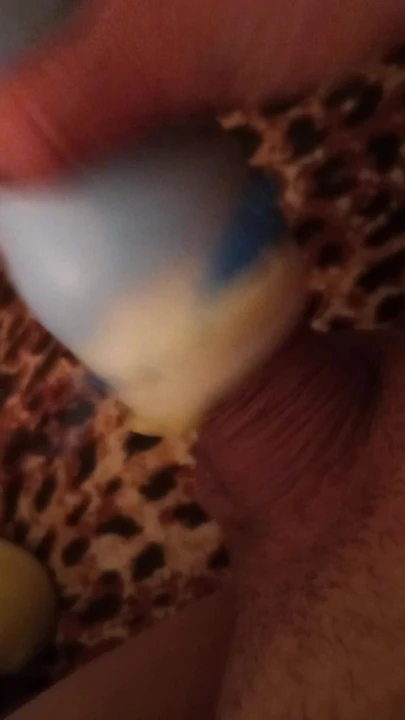 Masturbator