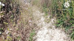 Pratinjau video