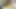 Deep Dildo Into My Big Trans Ass as I Stroke My Thick and Juicy Cock