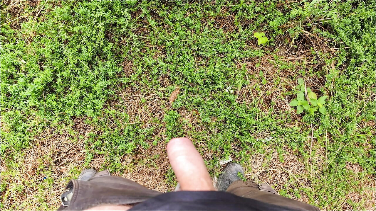 A guy is jerking off in the park.