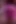 Best Blowjob and Cumshot Compilation  Softapprouch