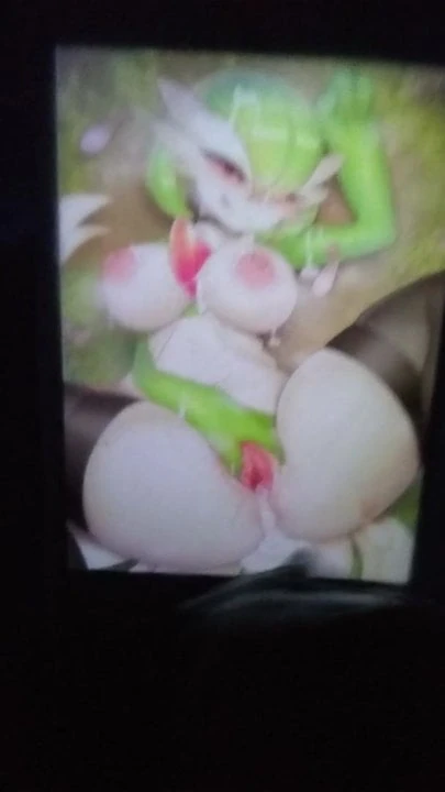 Tribute Gardevoir