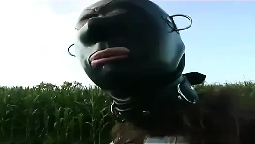 Ich präsentiere mein latex-fotoshooting mit meinen gestopften spielsachen