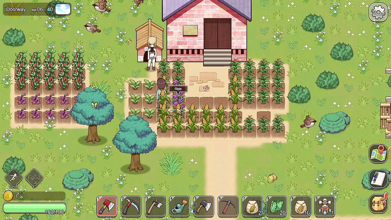 Village Rhapsody - Pregnant with My Aunty's