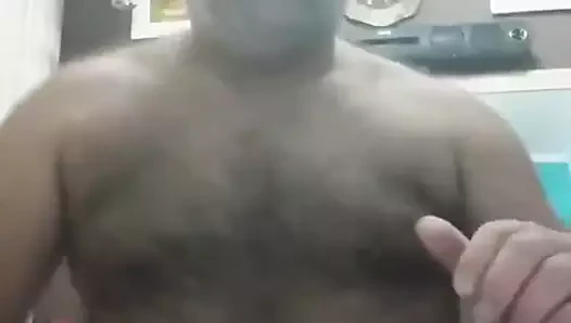 Que urso