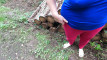 Pregled videozapisa