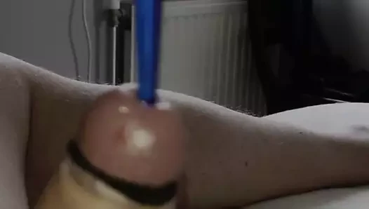 sondaj