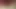 silver daddy bear blowjob 15