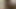 Big Black Cock Cumming