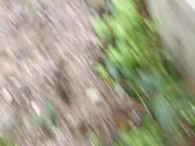 18 and pissing in public