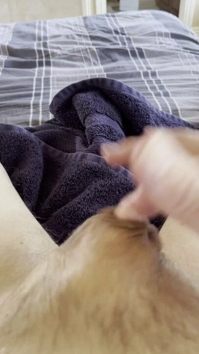 Finger Cum When Soft