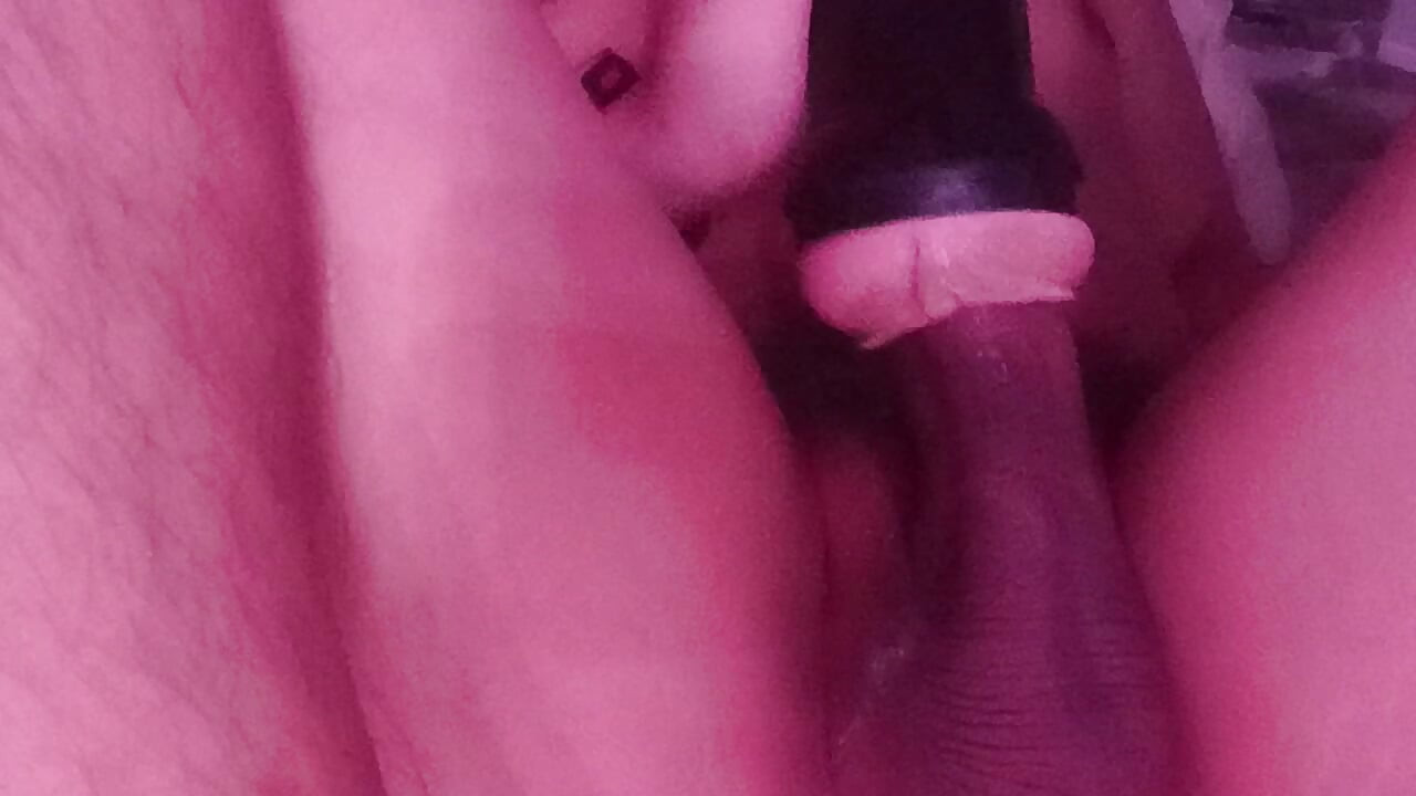 Warm My Milk Day 1664