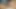 BBW Coca Dickdrainer Vol. 1