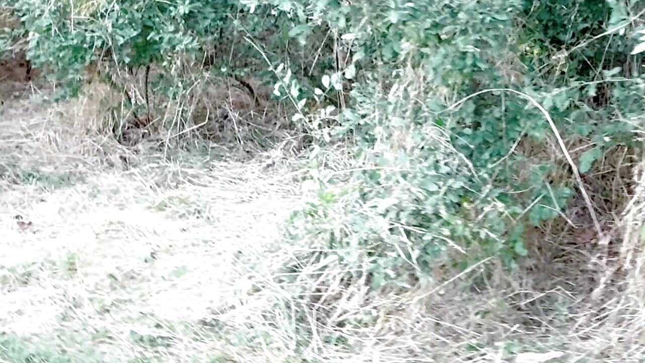 屋外の女子高生が生でおしっこをしているのを見つかり、中に入った