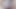 お前が望んだんだ