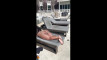 Pratinjau video