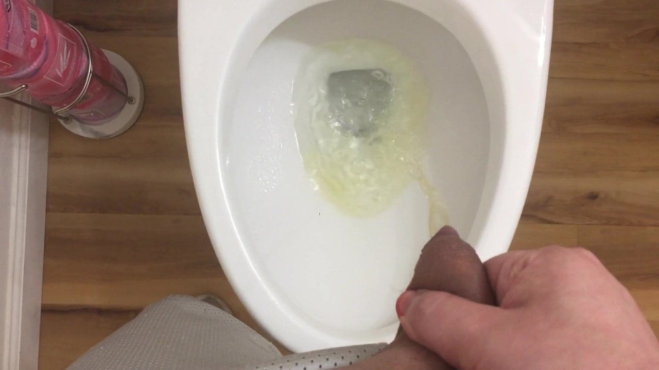 PlSS