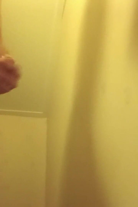 デイリーシャワー