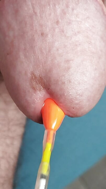 pluti