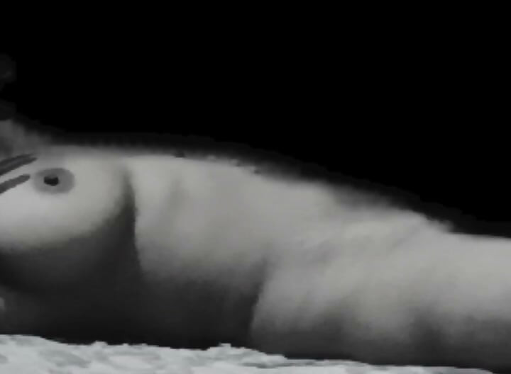 Pati patni ke sex video