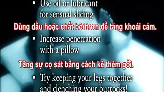Lovers Guide Sex Positions