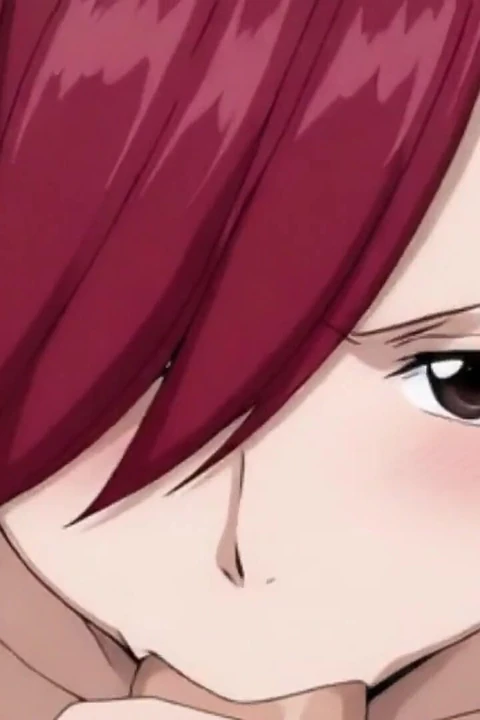 Fairy Tail Erza Hen