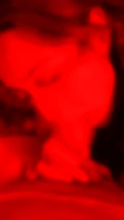 The Best at Sucking Cock!!!