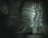 3 대 1