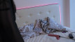Pregled videozapisa