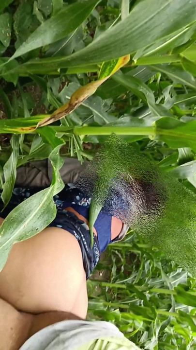 Gaon ka shuddh real desi Makka ki khet ka sexy video bhabhi apni Badi gand Apne devar se marva rahi hai Makka ke khet mein bhabhi ki gand ma | Clip 2