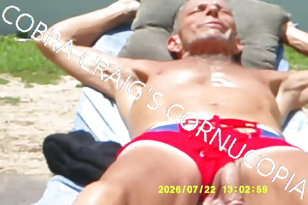 7-19-2026 the Cock the Sun Singing Venus Was Her Name Free Bird Wishing You Were Here