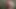 masturbating in the woods