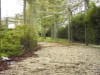 Pratinjau video