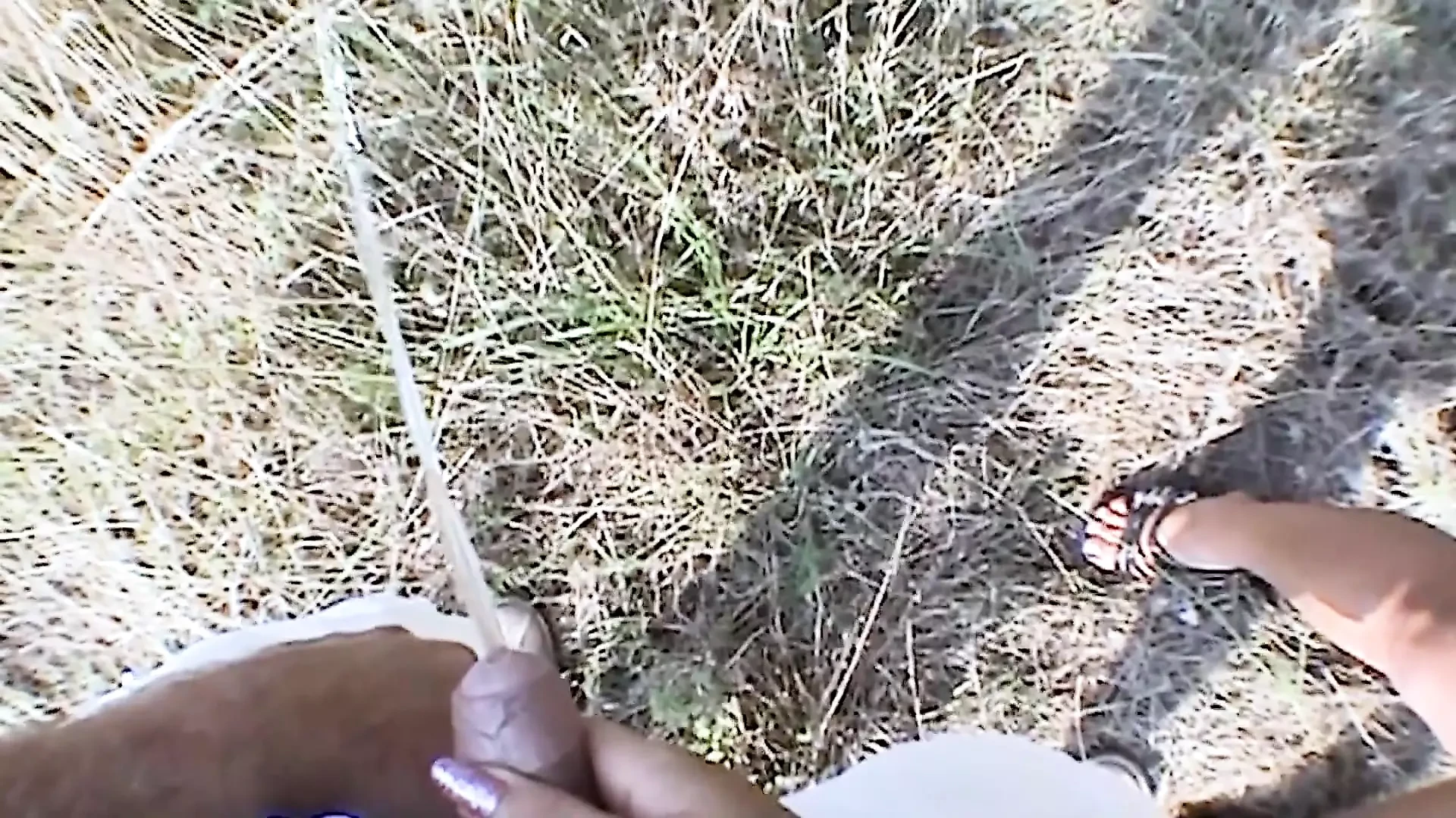 Blowjob Hitchhiker