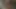 In order to take a picture of him after nutting the brunette satisfies his cock