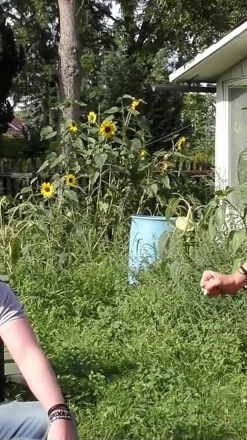 Must-see moment from "German Mature Dacada - Privat Amateur Outdoor Gangbang in the Garden"