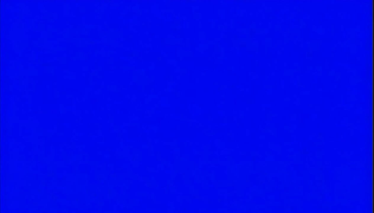 Blondi Nai Valkoista Jättiläistä