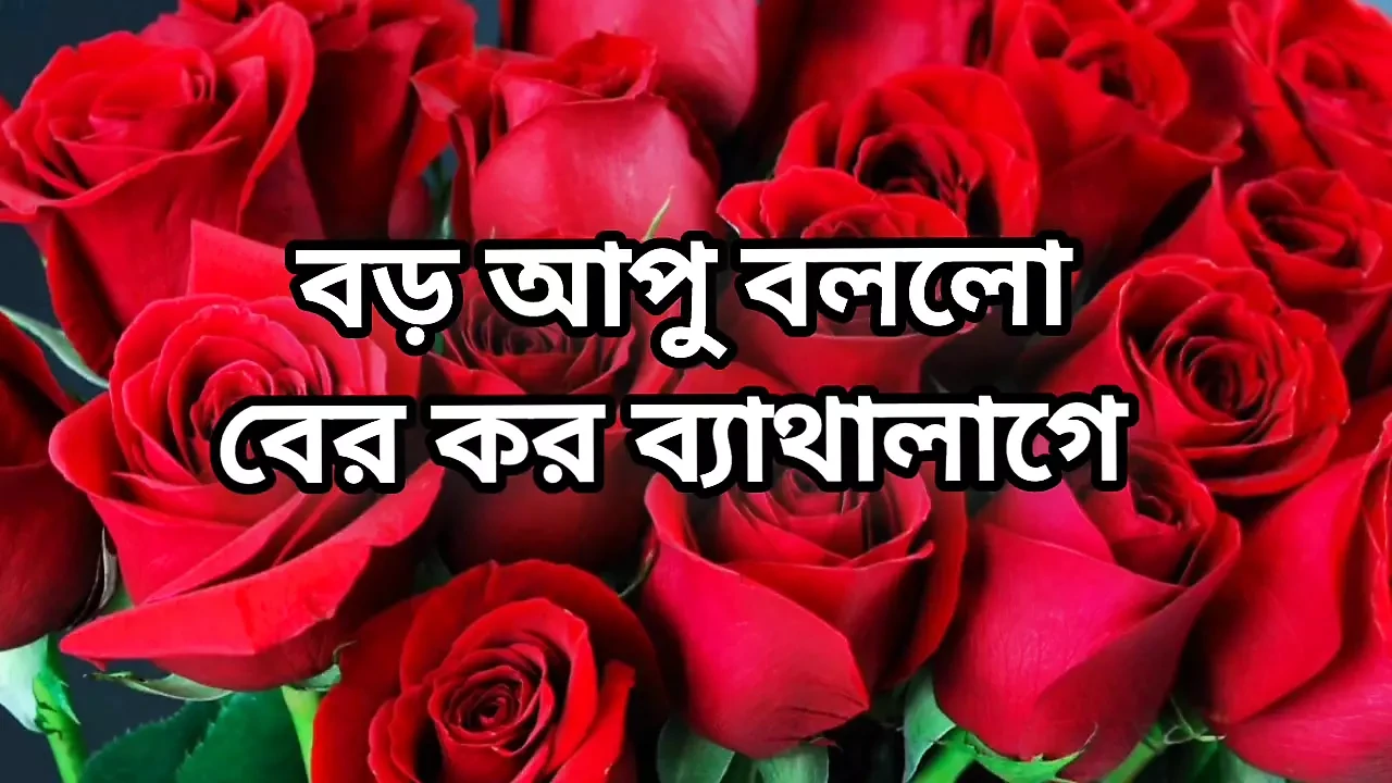 Bangla choti golpo full story in Bangla audio  golpo beautiful mature saree chachi cheating hasband full story in Bangldio story