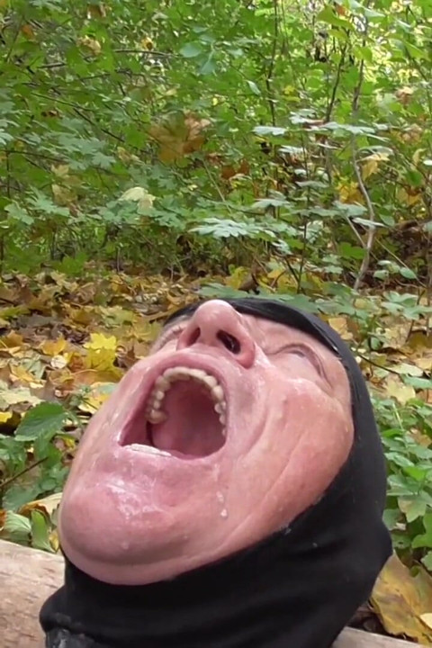 Pljuvanje u šumi
