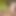 Tribadism Sexfight