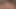 Amerikan milf tricia thompson olduğunu hoş ona aç kedi