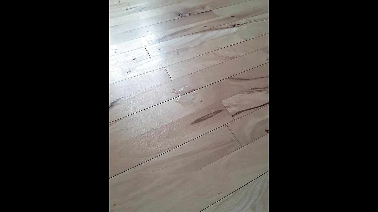 Συλλογή όλων των Cumshots μου μέχρι στιγμής.