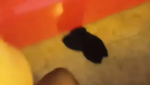 BBC guy seduced to indian smart Girl