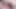 Oral iki kıvrımlı cuties, bir çift dong aşk